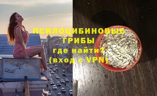 бошки Слюдянка